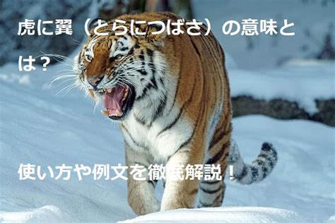 虎に翼 使い方|虎に翼（とらにつばさ）とは？ 意味・読み方・使い方をわかり。